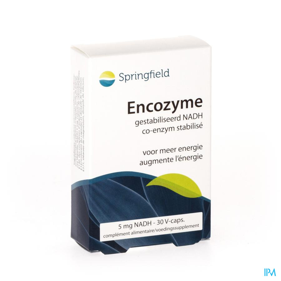 Encozyme Nadh 5mg Stabilise Springfield Caps 30